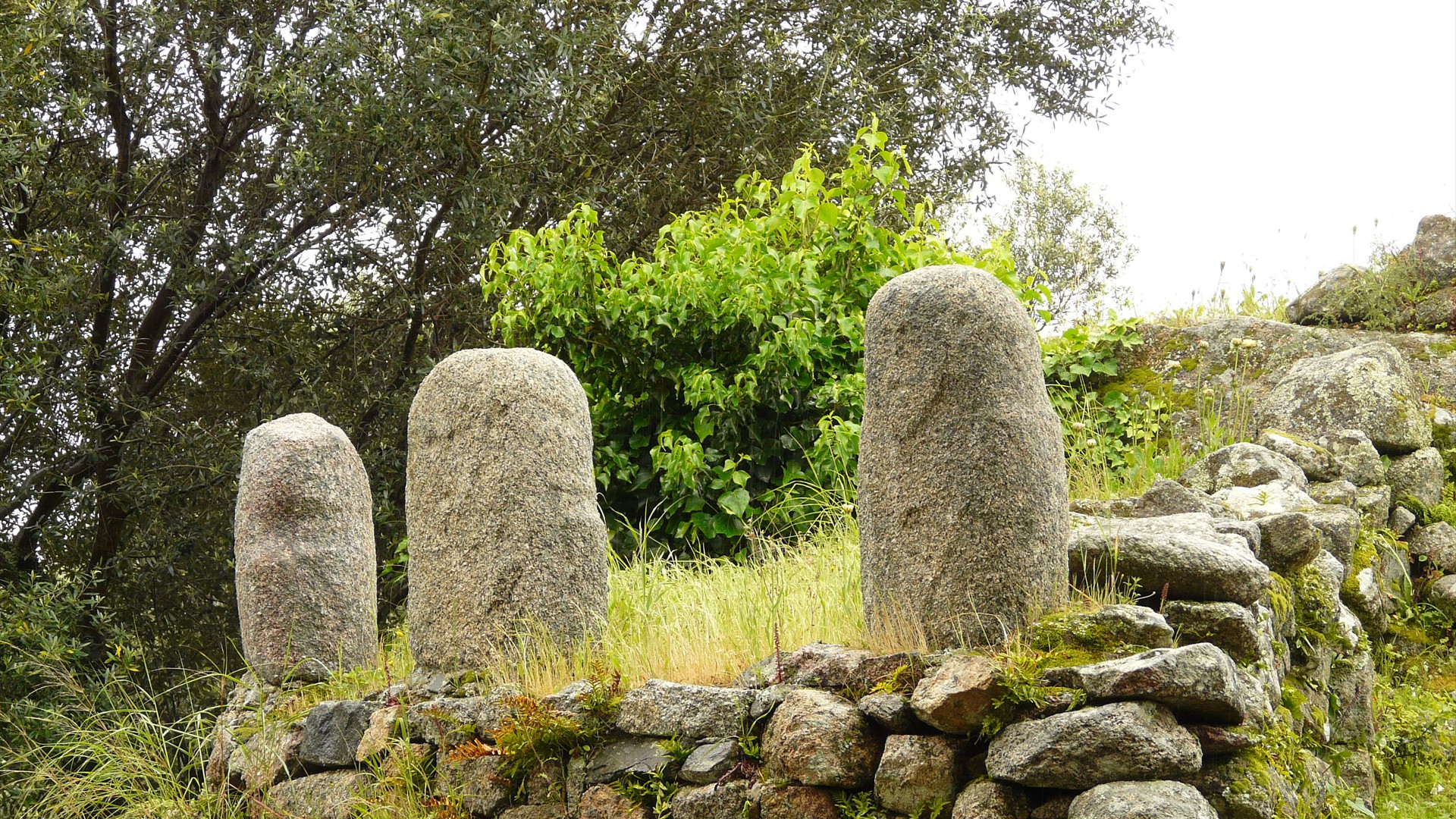 Ancient_guardians_of_Corsica